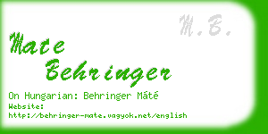 mate behringer business card